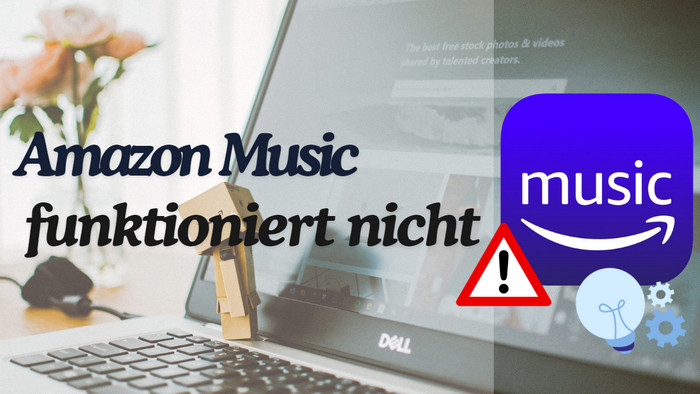 Titel: Einfache Lösung für Freebox- und Player-Probleme