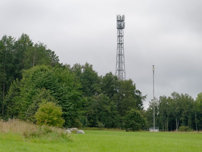 Free Mobile Führt Temporäre Preissenkungen und Neuzuweisen von TNT-Frequenzen Durch