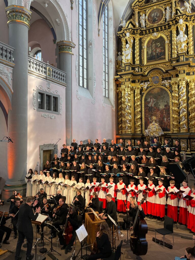 Skandal im Paderborner Dom: Performance mit halbnackten Darstellern und Hähnchen entweihen heiliges Gotteshaus
