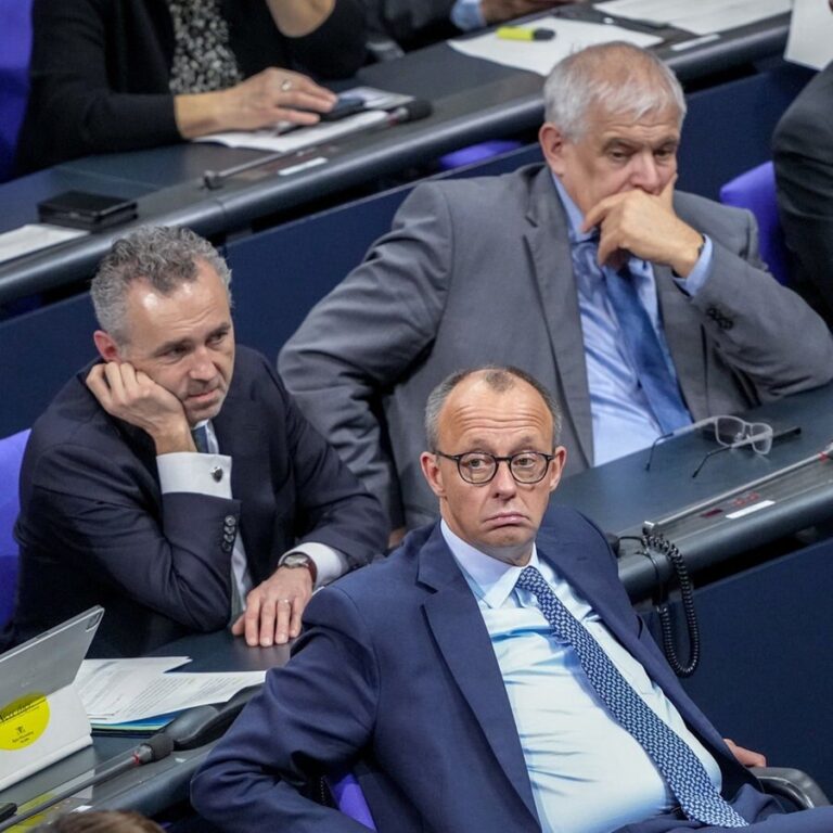 AfD-Politiker tragen statt Merz bei Papst-Begräbnis moralische Werte ein