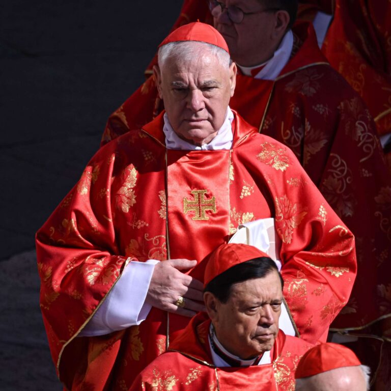 Kardinal Müller warnt vor autoritärer und schwacher Papstwahl