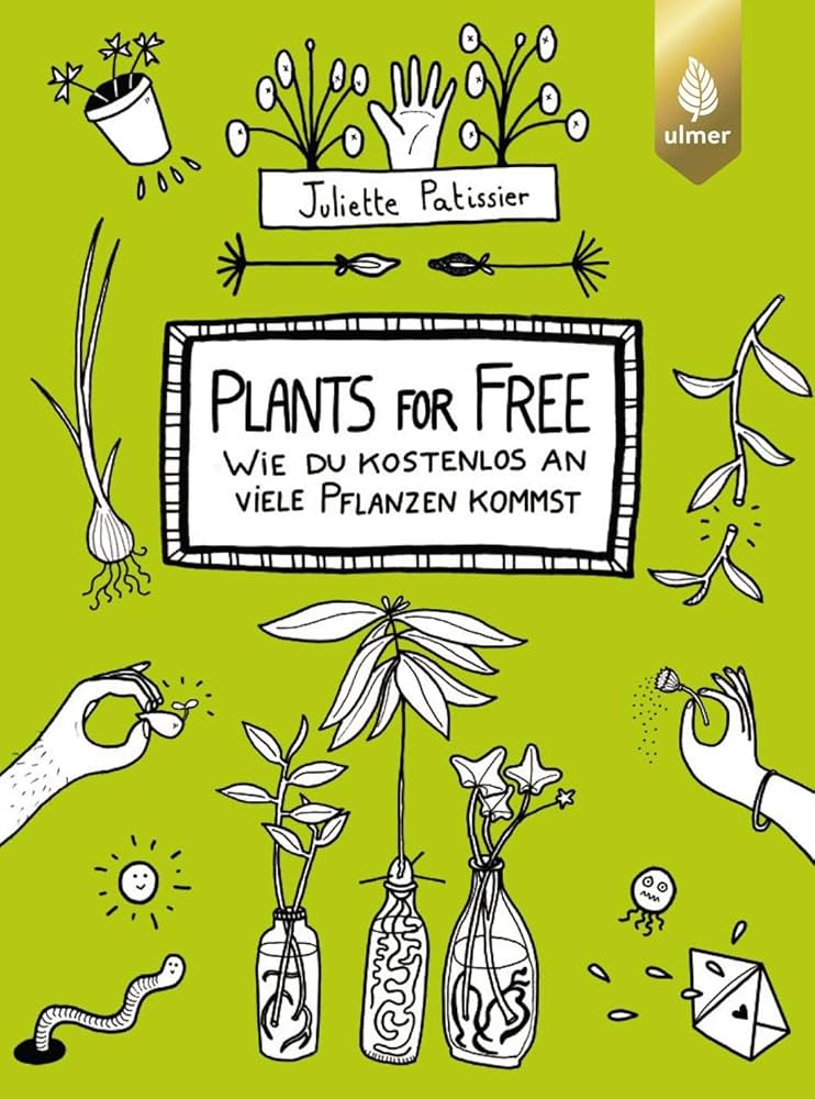 Free plant die nächsten Generationen seiner Freebox mit modularen und umweltfreundlichen Technologien