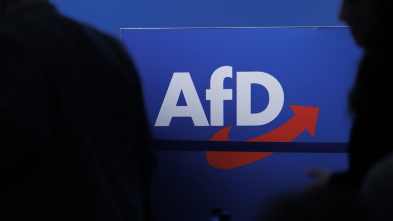 Die AfD: Rechtsradikale Gefahr oder politische Verrohung?