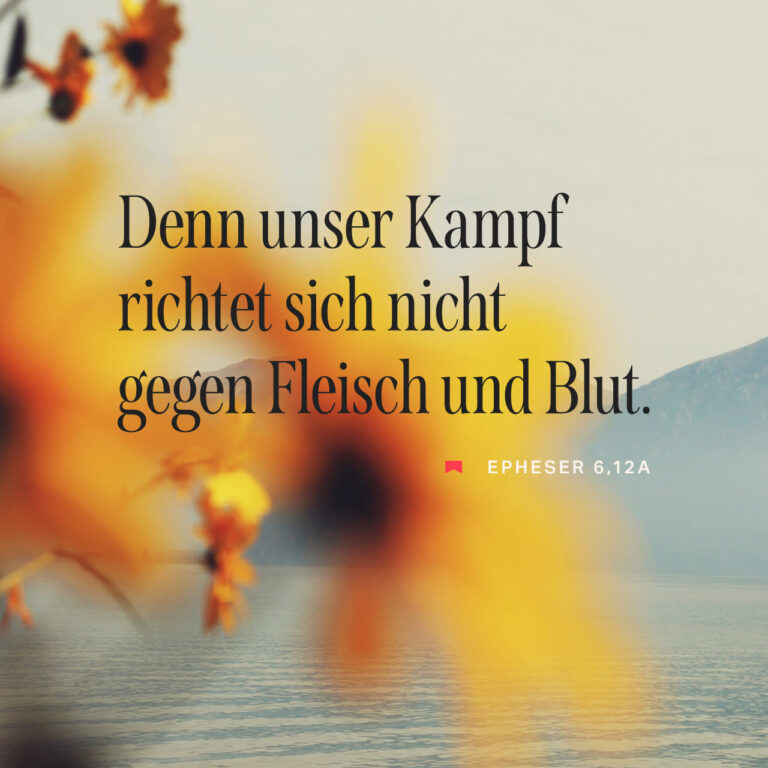 Eine kleine Bibel des Kulturkampfs: Der Kampf gegen die Werte der Gesellschaft