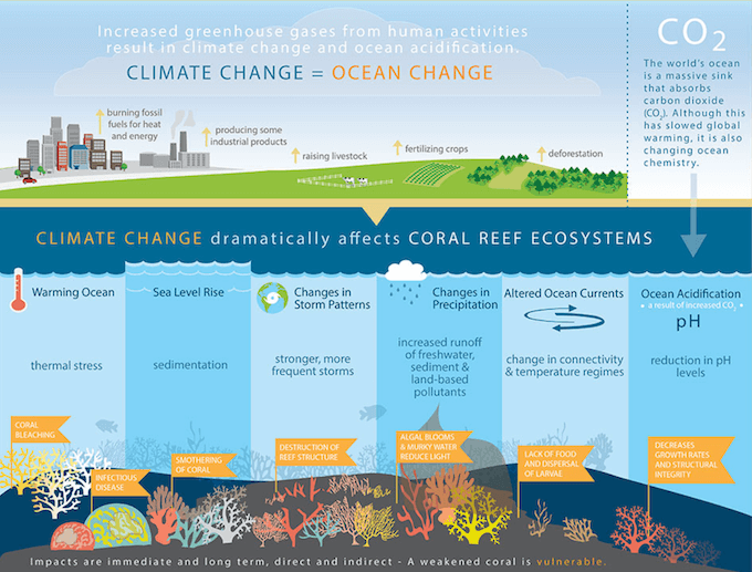 Klimaprognosen: Ein Schwindel mit globalen Auswirkungen