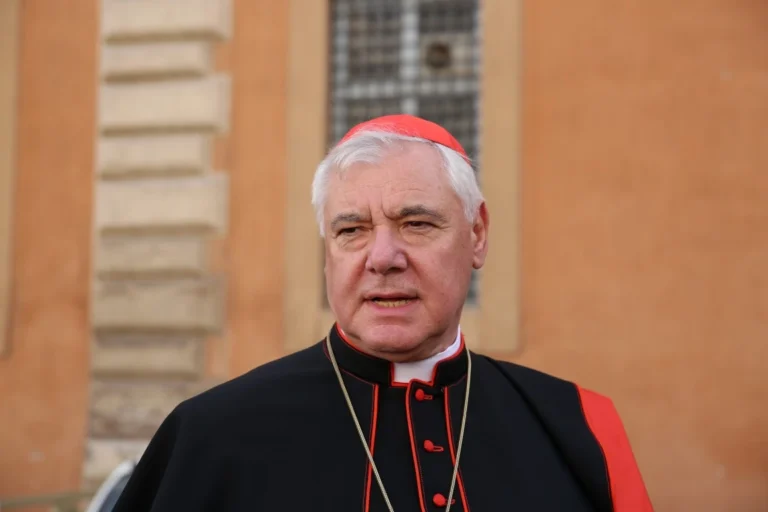 Kardinal Müller: Scharfe Kritik an der islamischen Bedrohung und der Kirchenführung in Deutschland