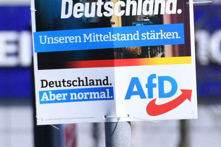 „Die Frechheit der AfD: Ehrverletzung durch die Deutschenfahnen“