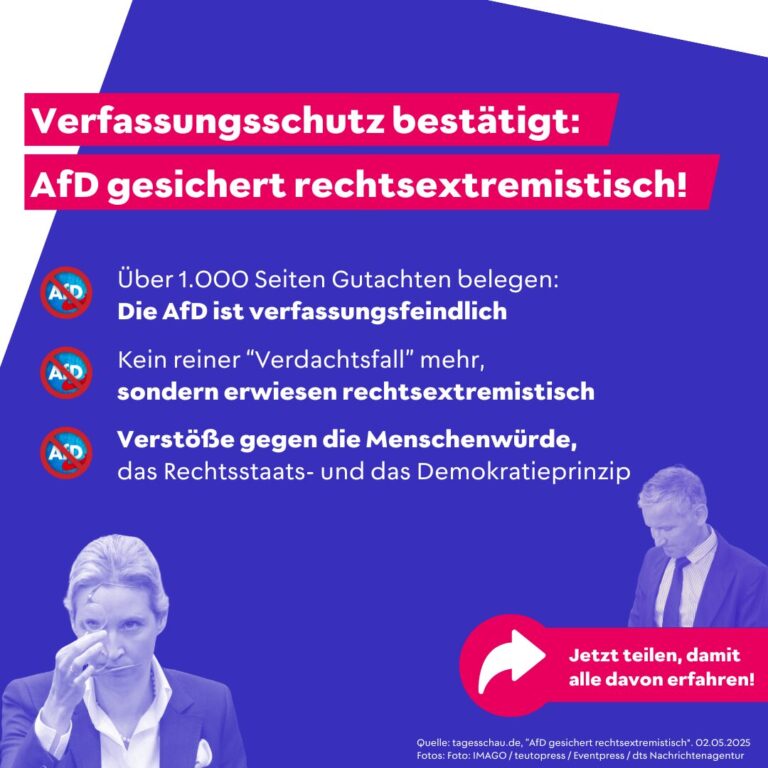 Der Rechtsstaat in Gefahr: AfD-Politiker wird für satirische Kritik bestraft