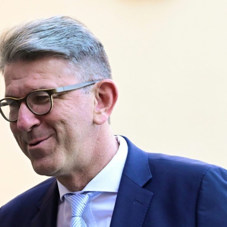 Kulturminister Weimer entblößt sich als Plagiat-Vampir