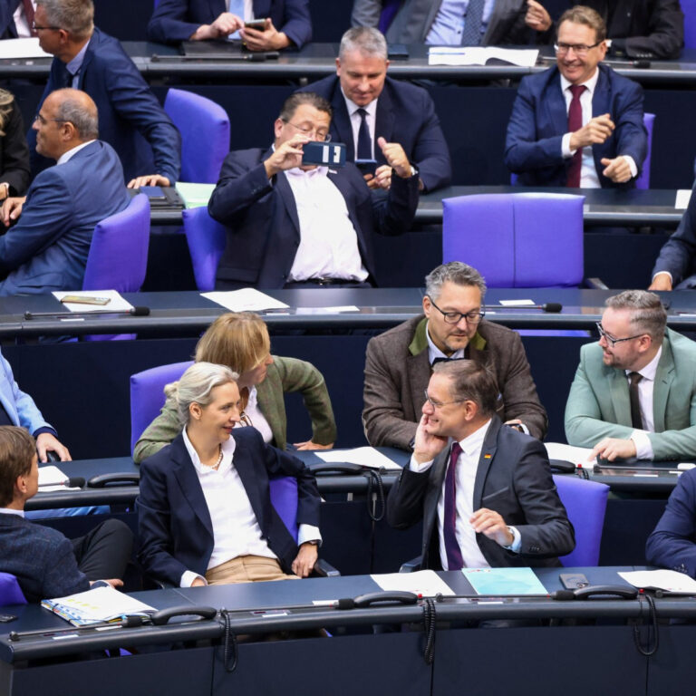 AfD als Partner der Trump-Regierung: Unbedeutende Anziehungskraft