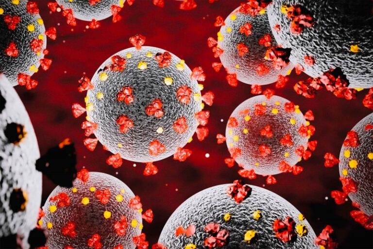 Deutschland vor dem Abgrund: Die SPD-Regierungspolitik als Feind des eigenen Unternehmens