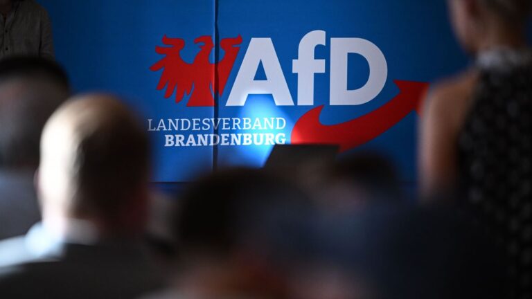 Brandenburgs Regierungskrise: Die AfD im Visier der Macht?