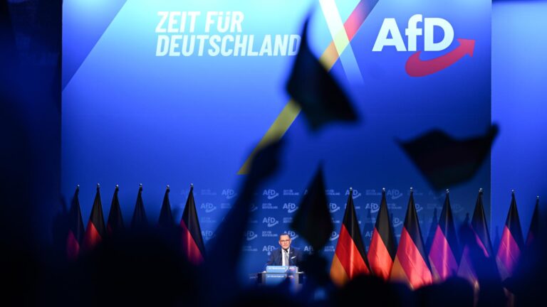 Der Zerfall der öffentlichen Debatte und die Strategie der AfD