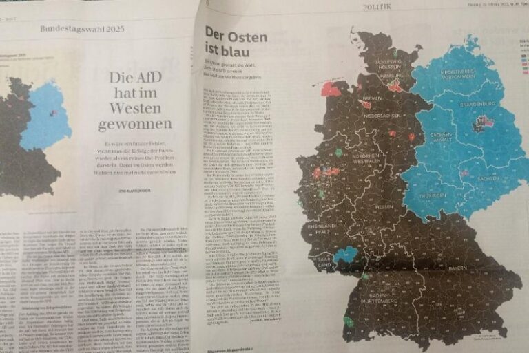 Politische Simulation statt Rechtsstaatlichkeit: Die AfD-Verteidigung zerstört die Grundlage der Demokratie