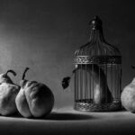 „Plandemie“-Gefangenheit: Politische Gefangene müssen freigegeben werden