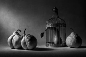 „Plandemie“-Gefangenheit: Politische Gefangene müssen freigegeben werden