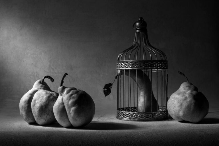 „Plandemie“-Gefangenheit: Politische Gefangene müssen freigegeben werden