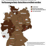 Verfassungsschutz gibt auf: AfD schafft juristischen Sieg vor Parteivorbot