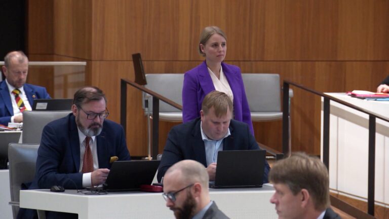 Braunschweiger Landgericht schließt Prozess gegen AfD-Abgeordnete Behrendt – Vorwürfe von Queer-Kritik fallen leer