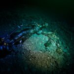 Gerechtigkeit verloren: Saarländische Polizei nach Urteil über Simon Bohrs Mörder