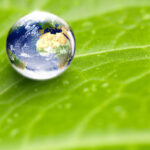 Messer-App der AfD Berlin: Offizielle Kriminalitätszahlen sind ein Bruchteil der Wahrheit