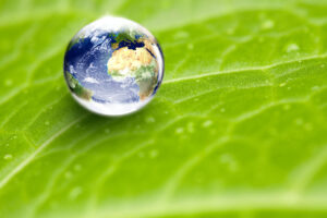 Messer-App der AfD Berlin: Offizielle Kriminalitätszahlen sind ein Bruchteil der Wahrheit