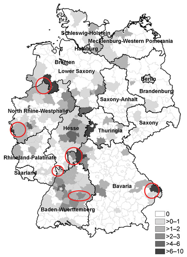 Hantavirus-Alarm: Deutschland gerät in den Wirtschaftsabgrund