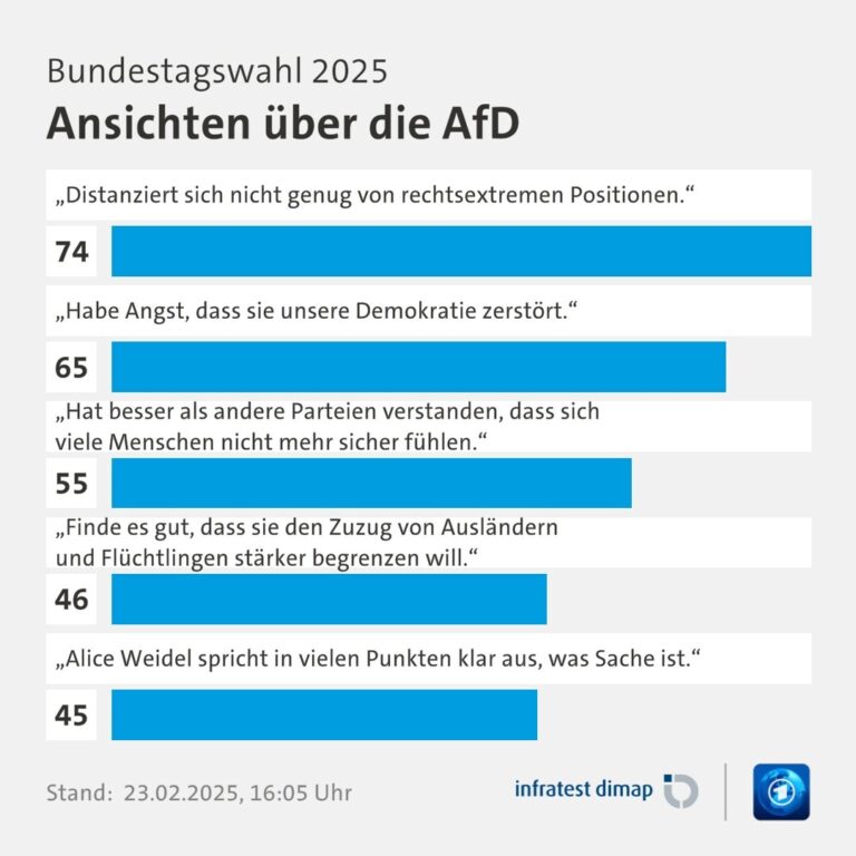 Der Abgrund der Demokratie: Warum die AfD die absolute Mehrheit erreichen wird – und Deutschland zerstören