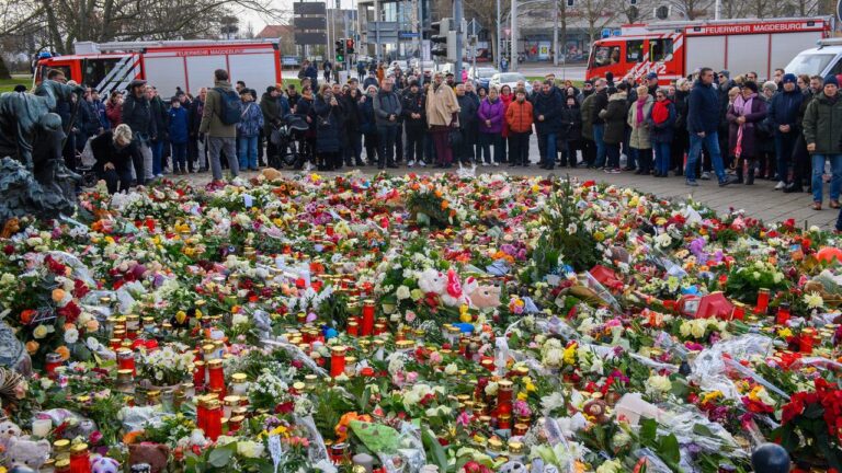 Gewalt droht: Antifa plant Angriff auf Landtag in Magdeburg bei AfD-Wahlsieg