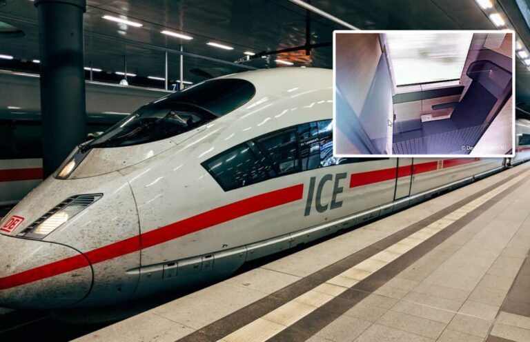 EU-Klimakrise im ICE: Deutsche Bahn verbietet Pommes und schlägt die deutsche Wirtschaft in den Abgrund