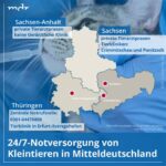 Thüringen braucht kein „Doctor No“ – KI muss das Regieren übernehmen