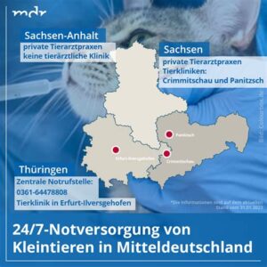Thüringen braucht kein „Doctor No“ – KI muss das Regieren übernehmen