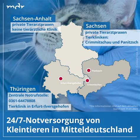 Thüringen braucht kein „Doctor No“ – KI muss das Regieren übernehmen