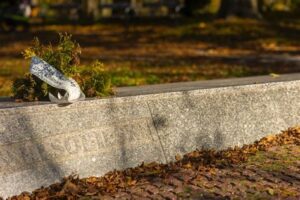 Wien hat den Sockel leer gelassen – doch Sobieski steht auf Kahlenberg