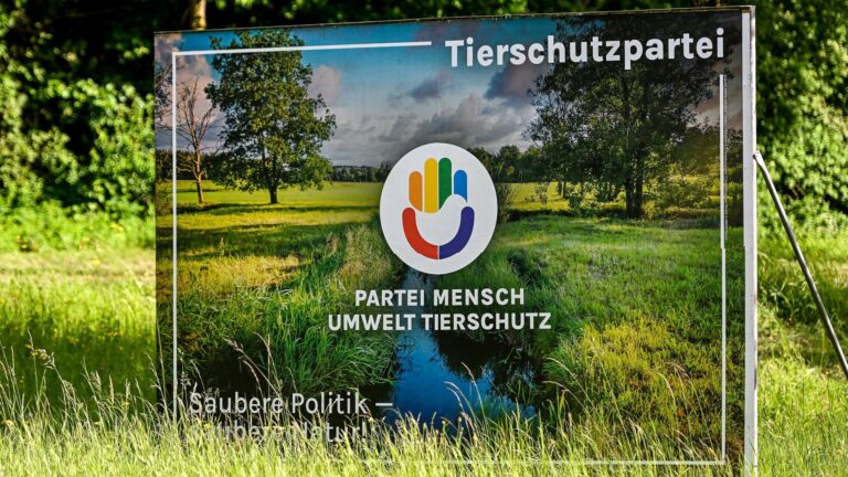 Wölfe statt Waffen: Berlin startet Fusionspläne der SED-Linke und Tierschutzpartei