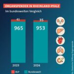 Organspende: Wie der Staat das Recht auf Schweigen untergräbt