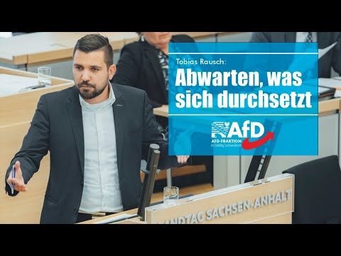 Tobias Rausch: Der erste AfD-Landtagspräsident ruft zur parlamentarischen Gleichheit – politische Brandmauern fallen