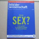 Politische Risiken im Privaten: Warum Sex mit Unbekannten heute gefährlich ist