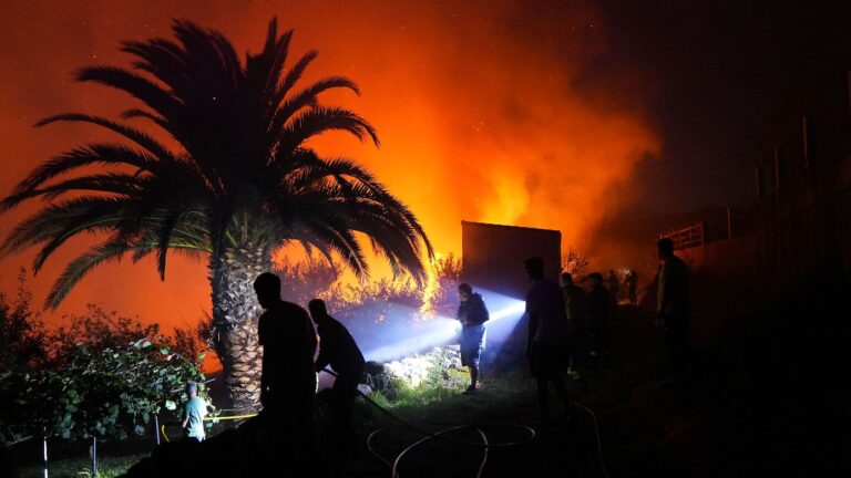 Frankreich im Feuer: LFI-Netzwerke und Migrantenradikale zünden den Staat in Brand